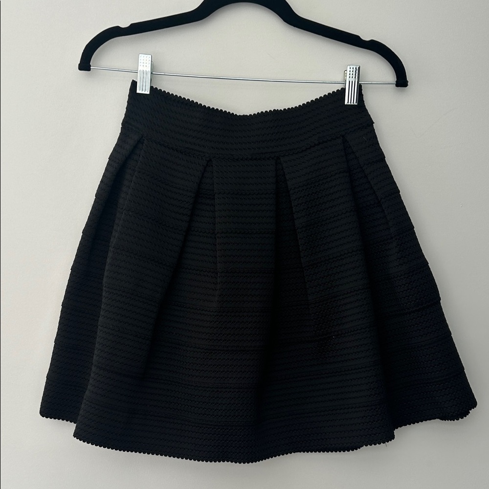 Express Black Pleated Skirt
